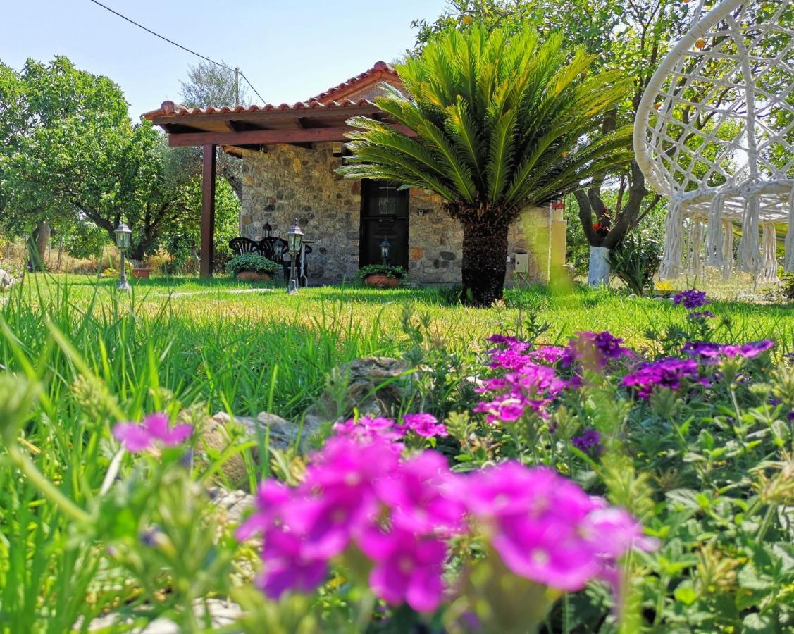 Villa Patras Stonehouse With Large Yard - Πέτρινο Σπίτι Με Αυλή à Paralía Extérieur photo